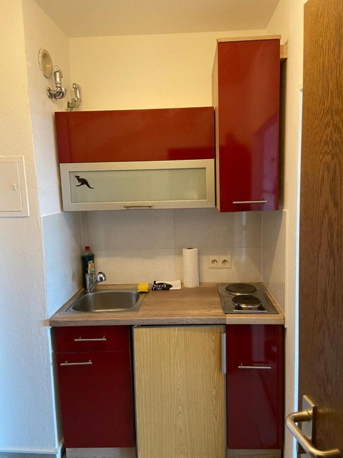B1107, Schoenes Appartement Mit Traumblick Lahnstein Eksteriør billede